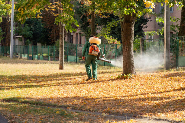 Best Termite Control Services  in Frankford, DE
