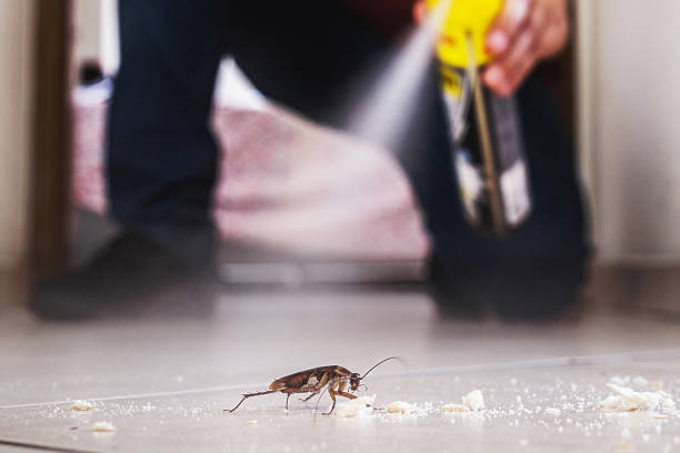 Best Emergency Pest Control  in Frankford, DE