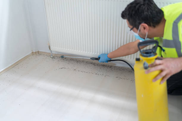 Best Cockroach Control Services  in Frankford, DE