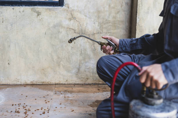 Best Affordable Pest Control Services  in Frankford, DE